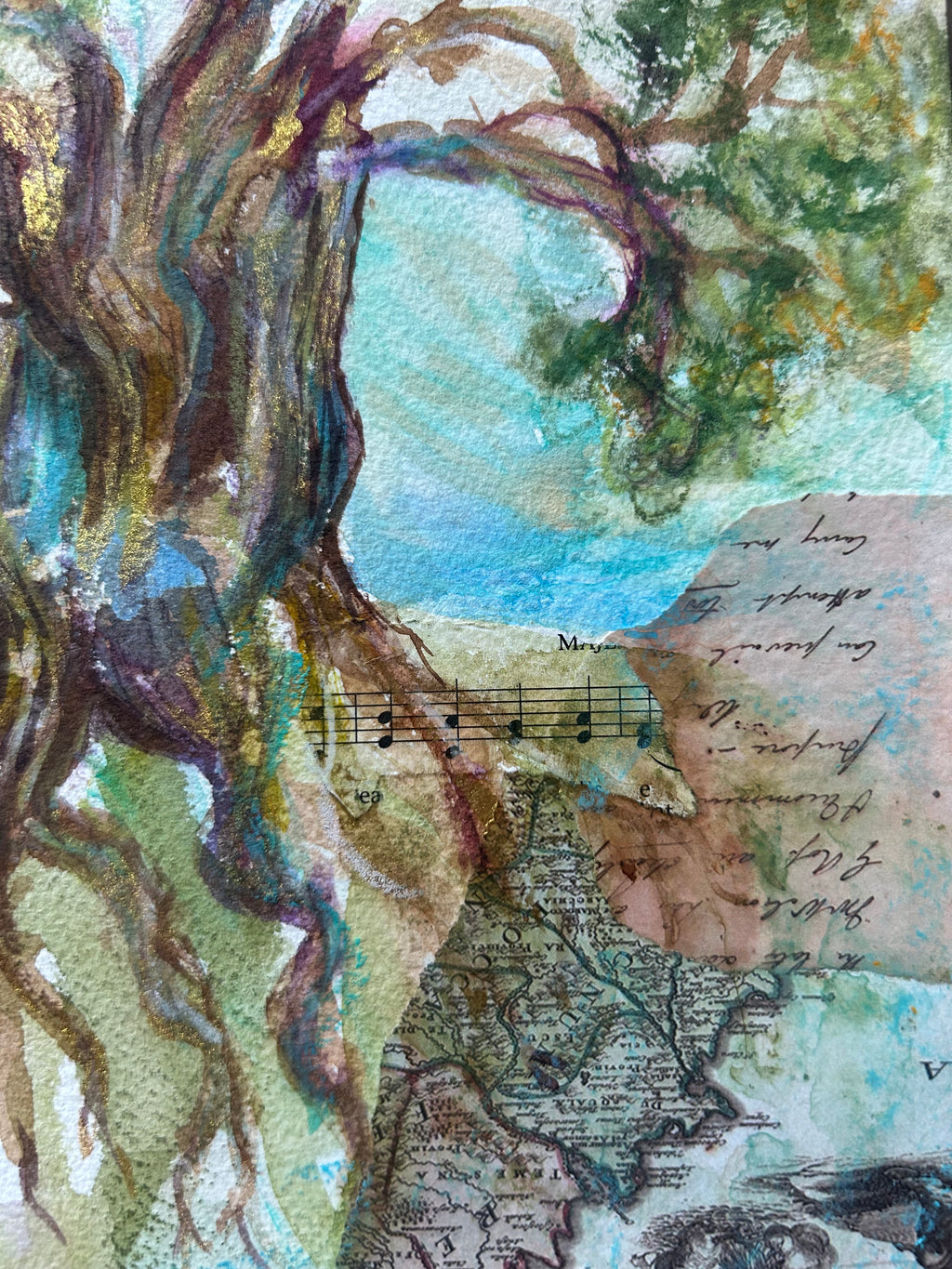 Rooted