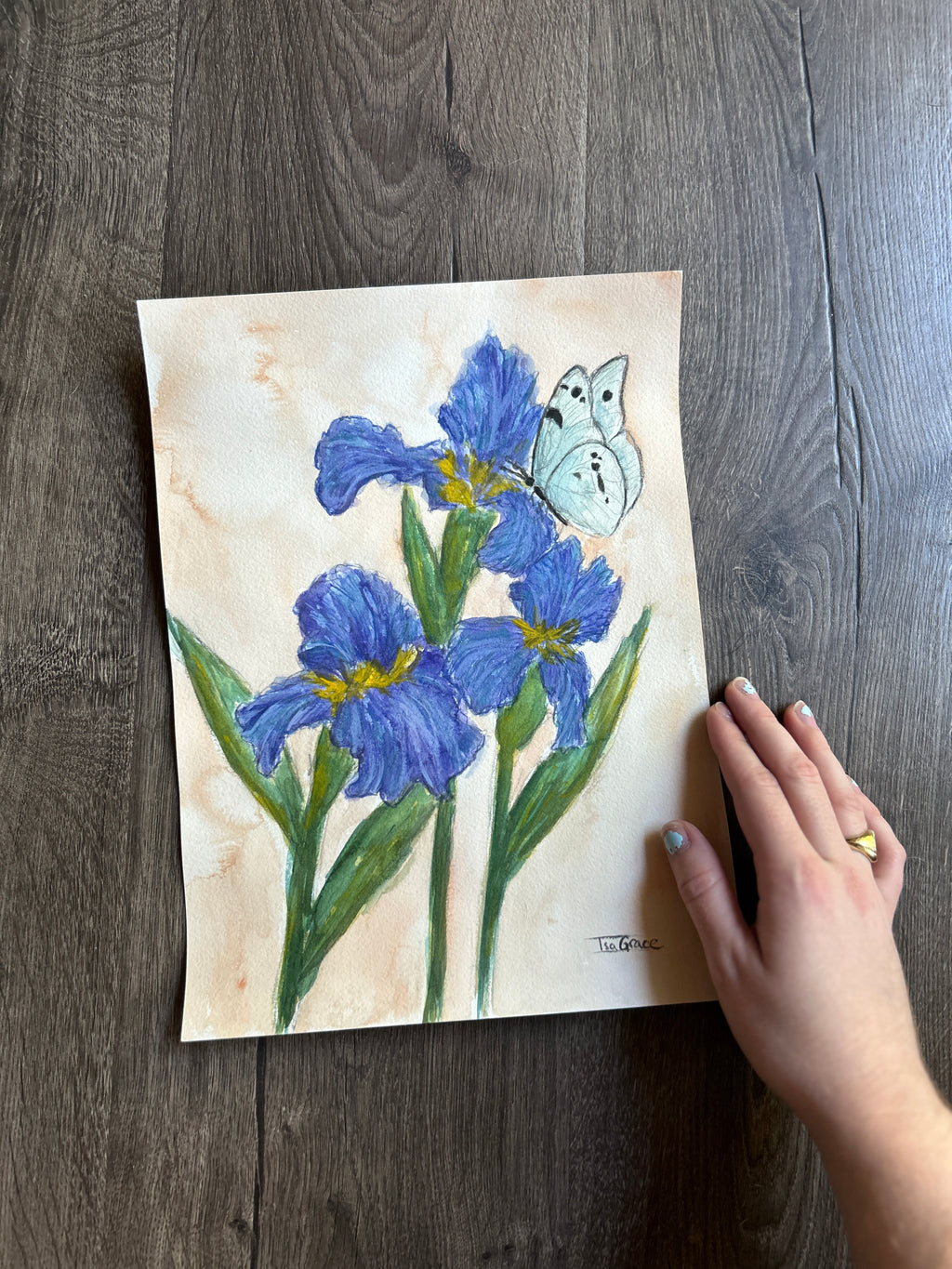 February - Birth Month Flower Collection