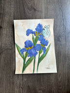February - Birth Month Flower Collection