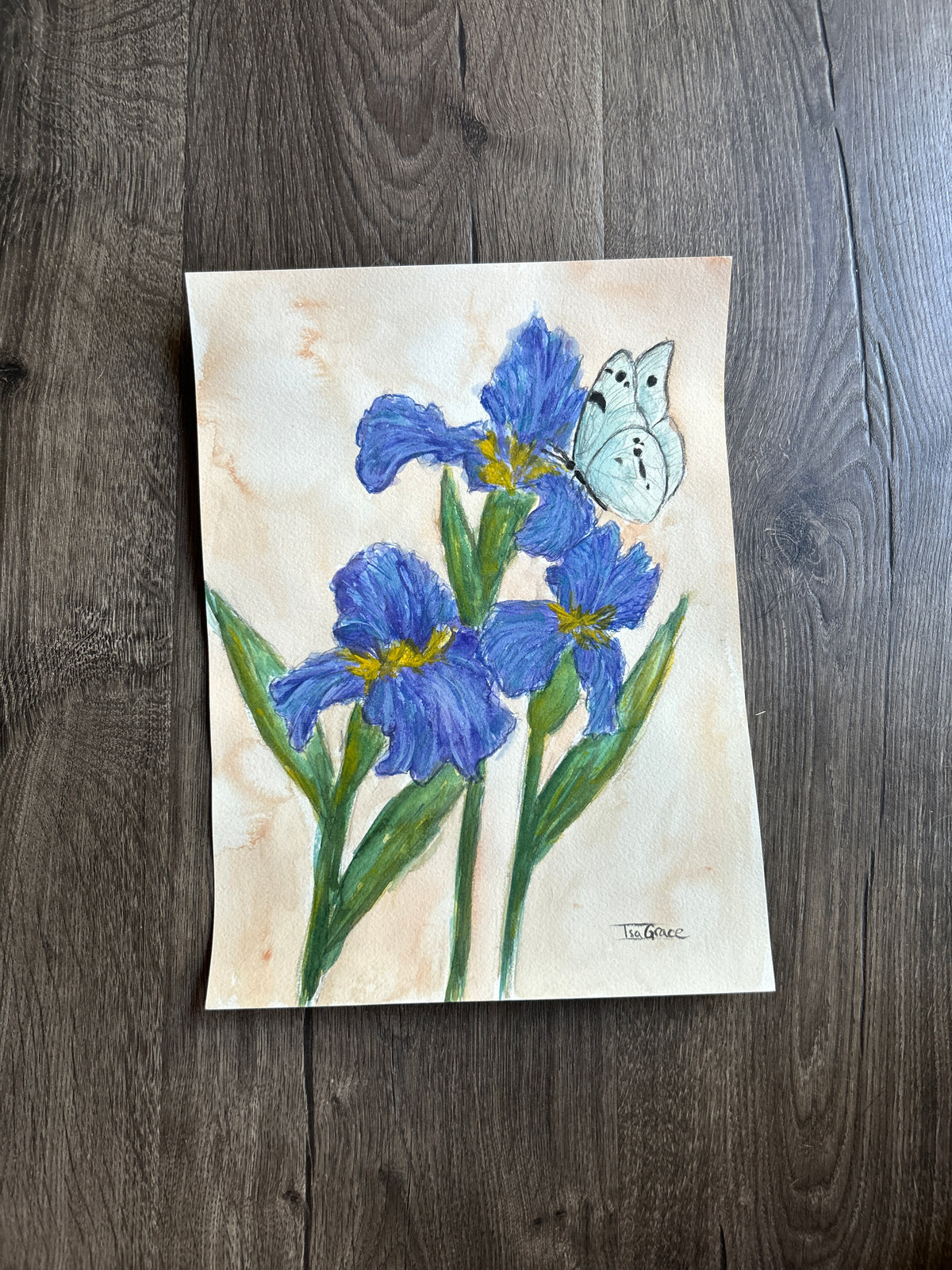 February - Birth Month Flower Collection