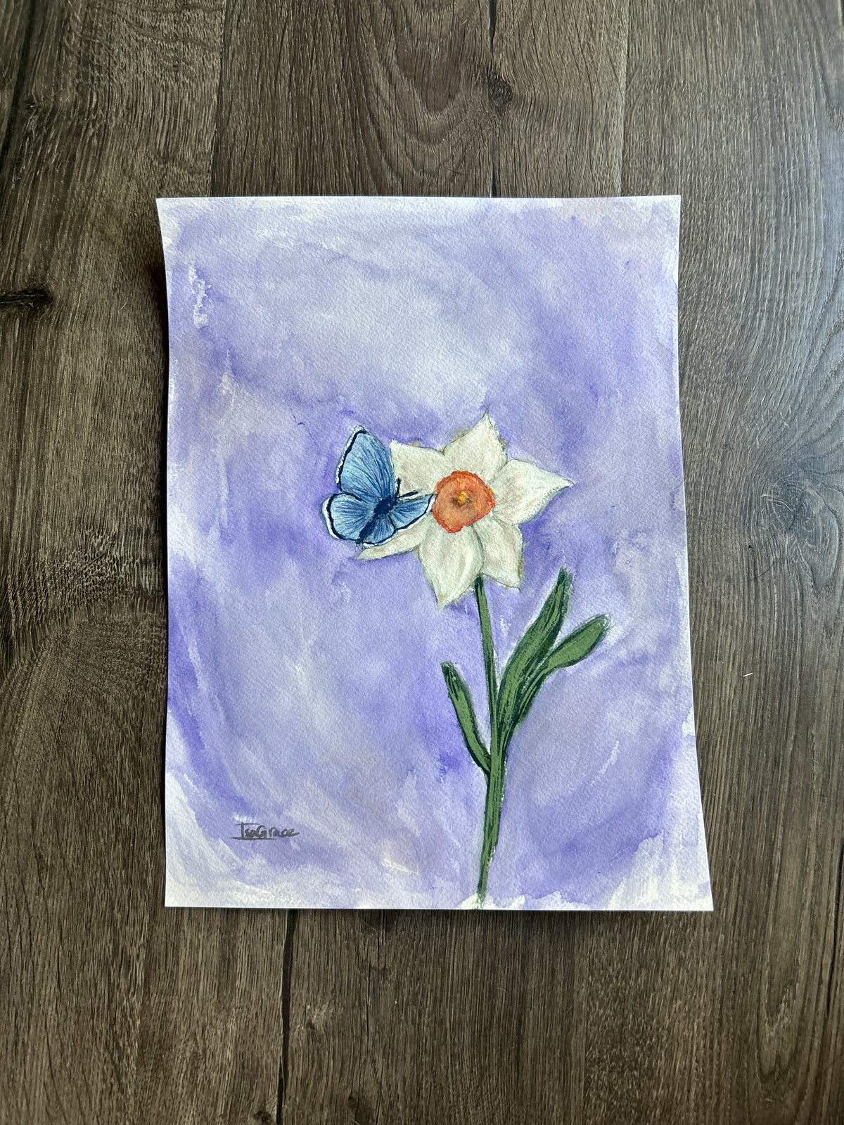 March - Birth Month Flower Collection