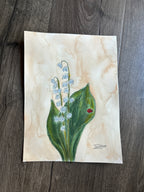 May - Birth Month Flower Collection