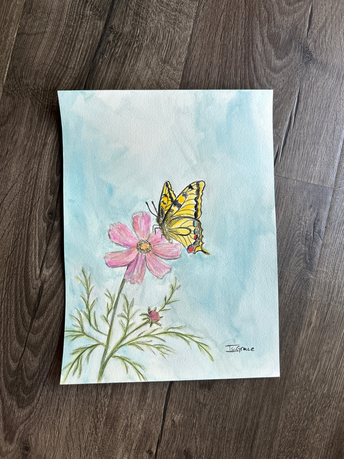 October - Birth Month Flower Collection