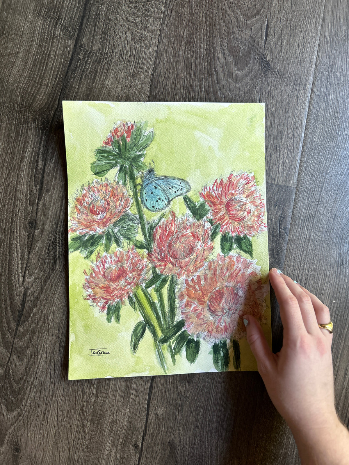 November - Birth Month Flower Collection