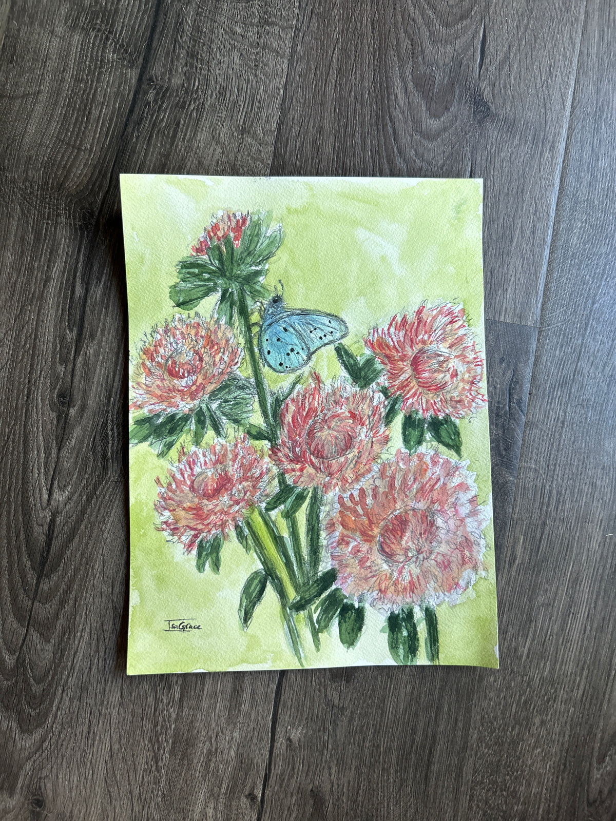 November - Birth Month Flower Collection