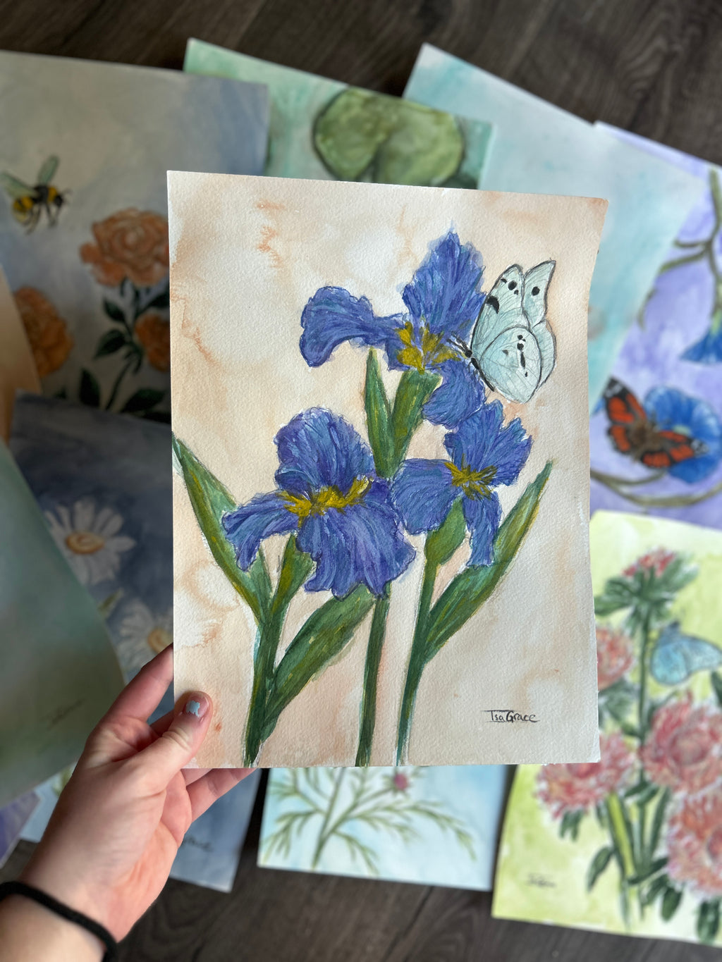 February - Birth Month Flower Collection