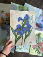 February - Birth Month Flower Collection