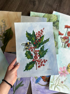 December - Birth Month Flower Collection