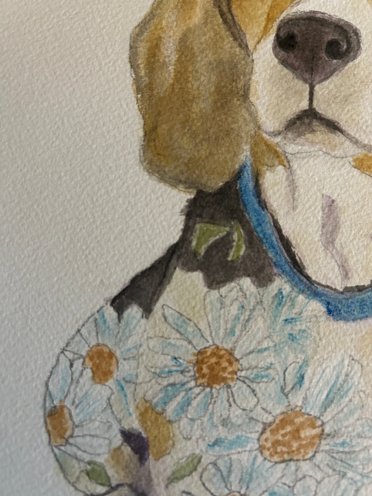 Custom Watercolor Pet Portraits (ONLY 5 SPOTS LEFT)