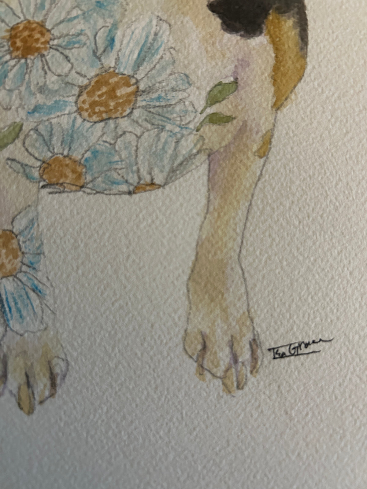 Custom Watercolor Pet Portraits (ONLY 5 SPOTS LEFT)